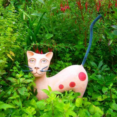 Jungle cat