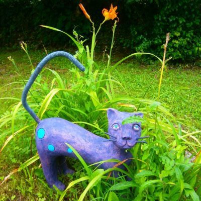 Jungle black cat